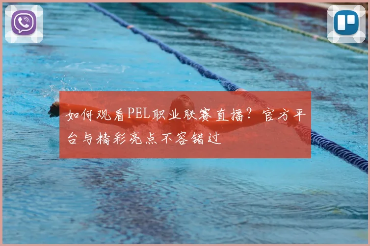 如何观看PEL职业联赛直播？官方平台与精彩亮点不容错过