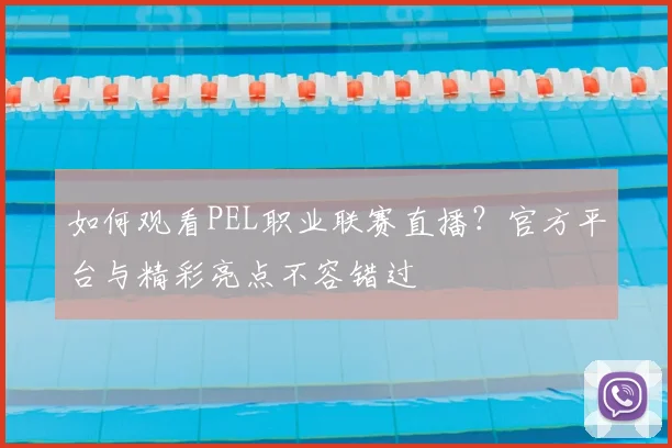 如何观看PEL职业联赛直播？官方平台与精彩亮点不容错过