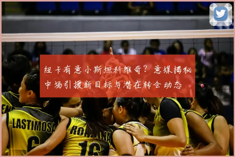 纽卡有意小斯坦科维奇？意媒揭秘中场引援新目标与潜在转会动态